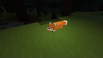 LambDynamicLights - Dynamic Lights screenshot