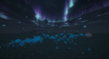 Rustic's Bottles screenshot