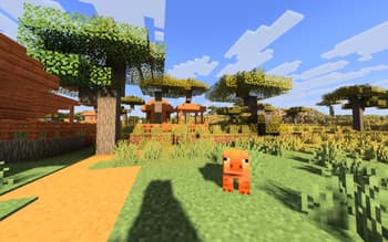 RealisticLite Shader screenshot