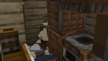 Pirate's Domain screenshot