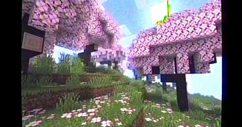 MC VHS screenshot