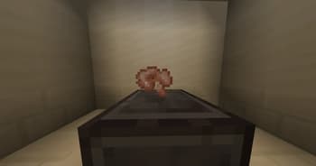 My Singing Discs screenshot