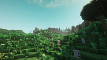 TFC Terra Incognita screenshot