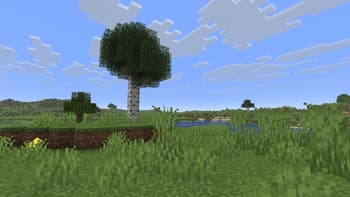 Wending Subtleties screenshot
