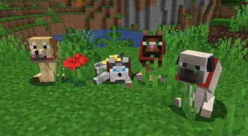 Creatures+ Animated screenshot