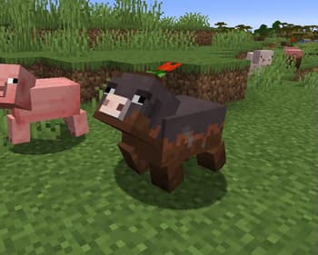 Creatures+ Animated screenshot