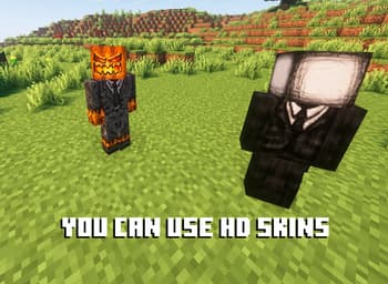 Quick Skin screenshot