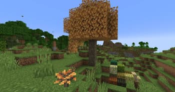 Blockus screenshot