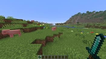 Small Held Items screenshot