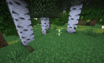 Saplings Remodeled screenshot