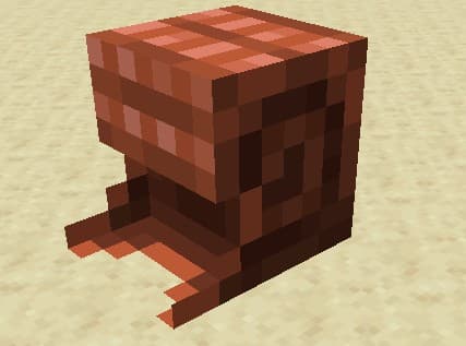 3D Nautilus Shell and Armor screenshot