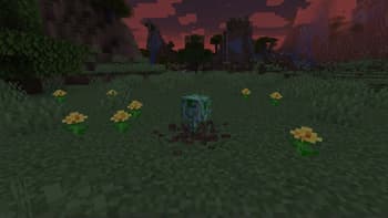 Spawn Animations screenshot