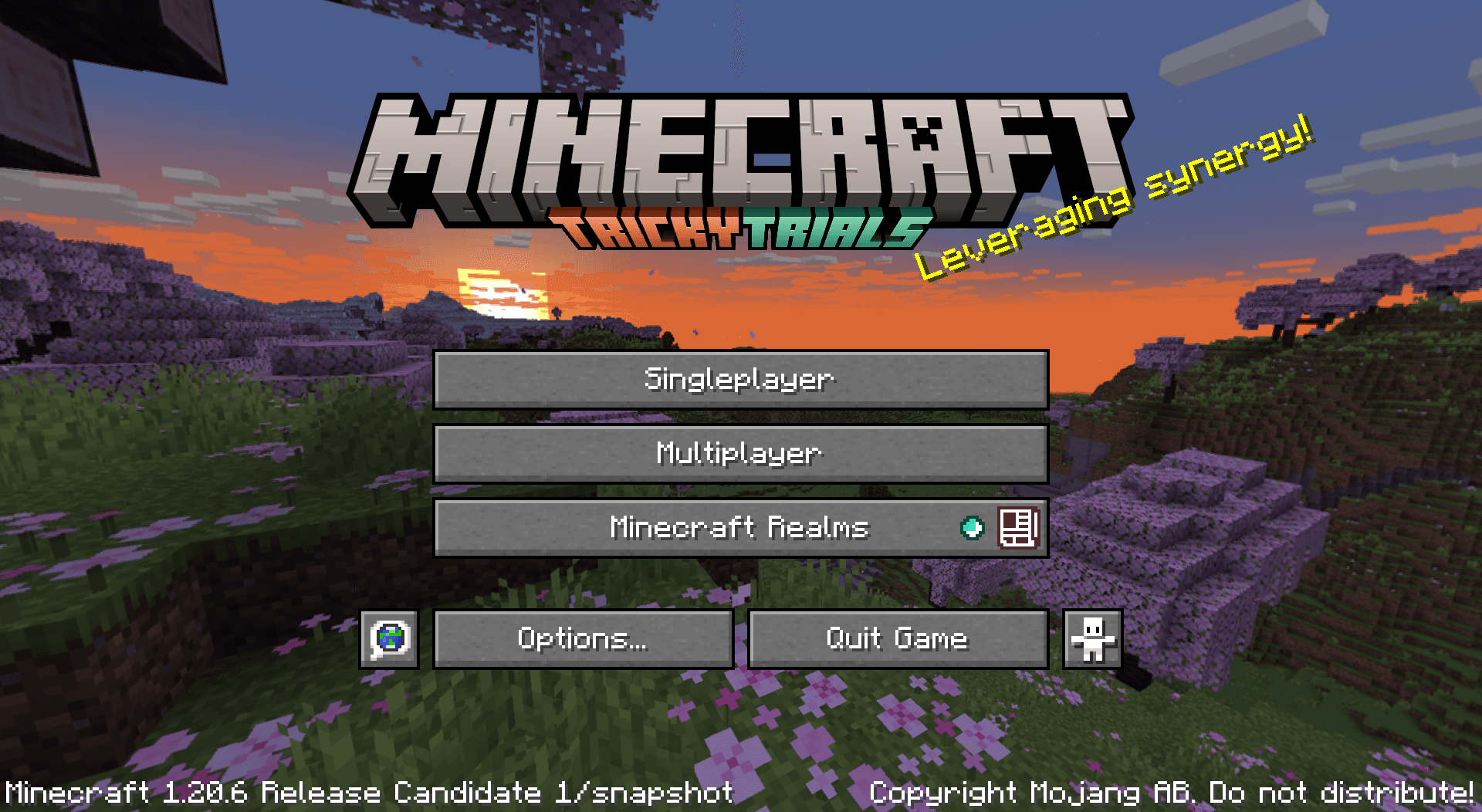 Update Edition screenshot