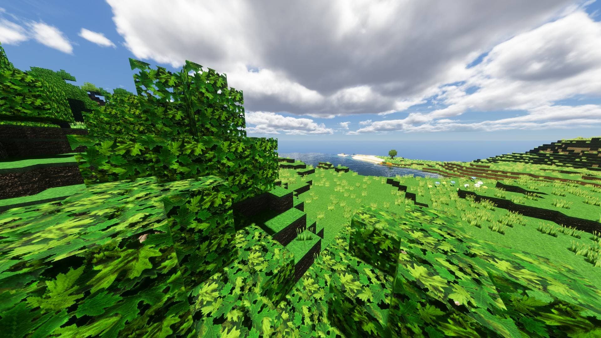 RealPix TrueCraft 32x screenshot