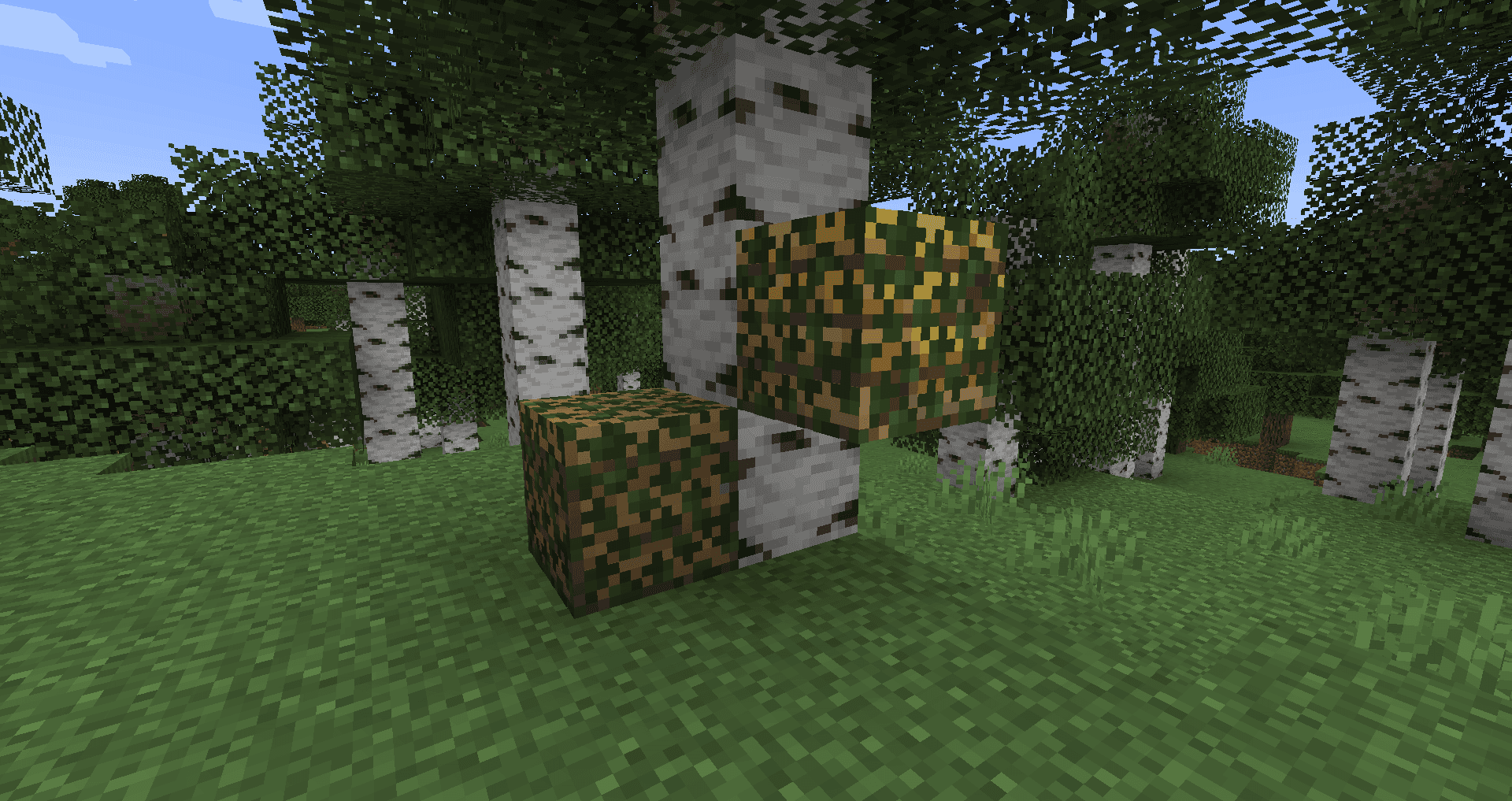 Camol screenshot