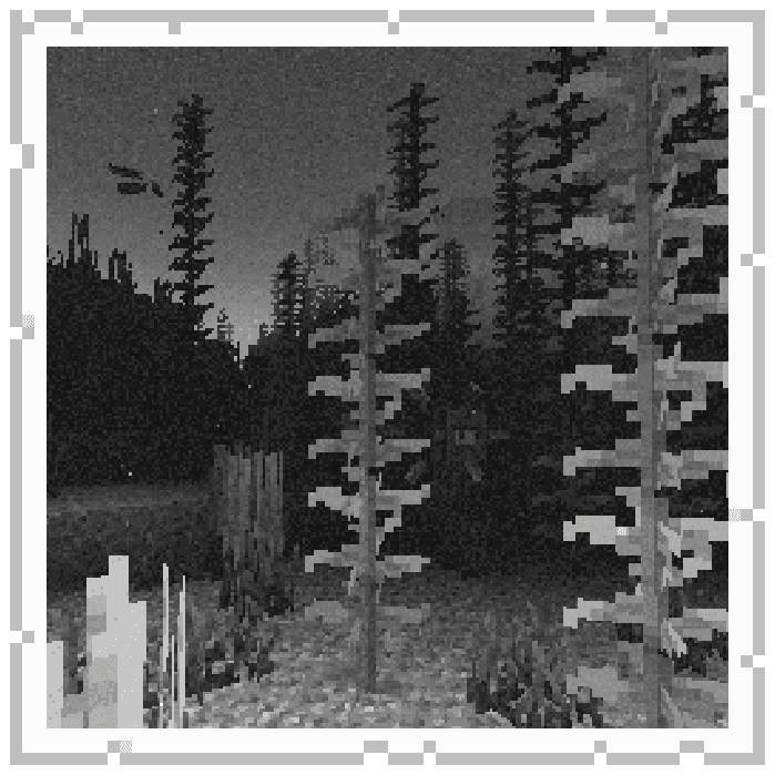 Exposure: Polaroid screenshot
