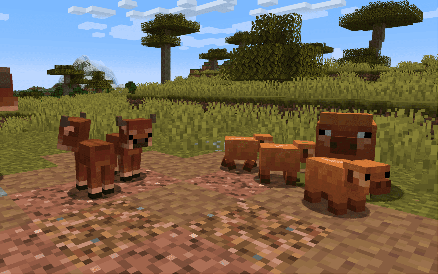 Baby Animals Remastered screenshot