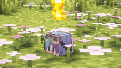 Player's Head Drop screenshot