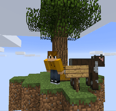 A Skyblock screenshot