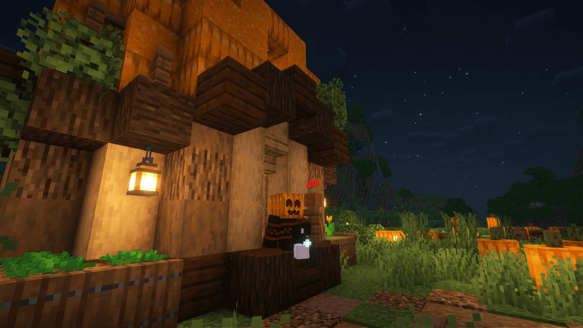 Cute Pumpkin screenshot