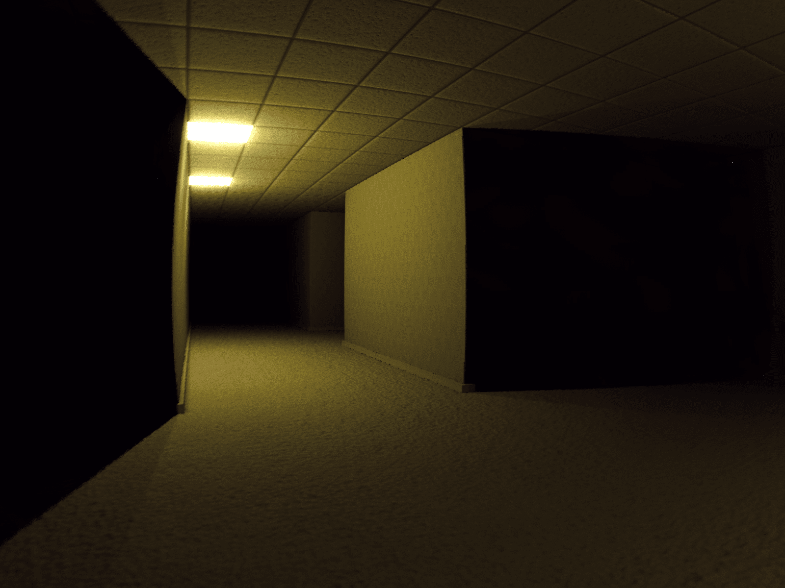 Backrooms Found Footage screenshot