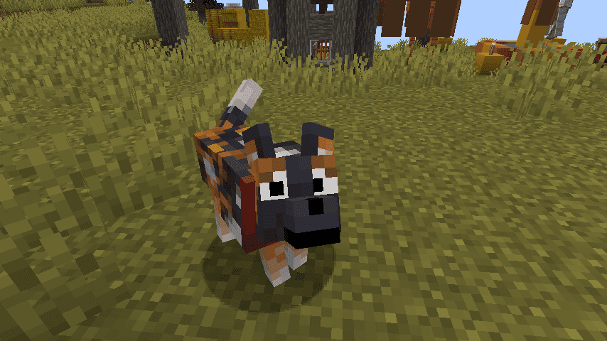 Fresh Animations Patch - Boy Why You So Ears screenshot