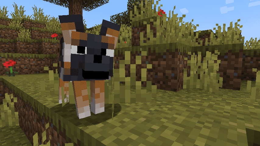 Fresh Animations Patch - Boy Why You So Ears screenshot
