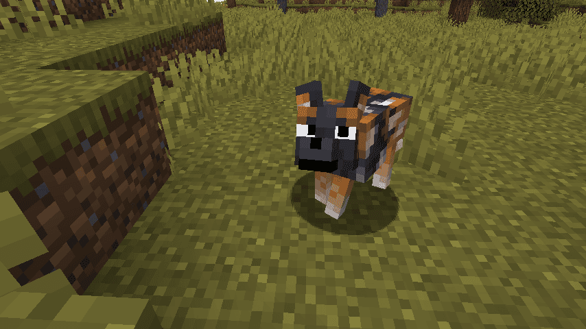 Fresh Animations Patch - Boy Why You So Ears screenshot