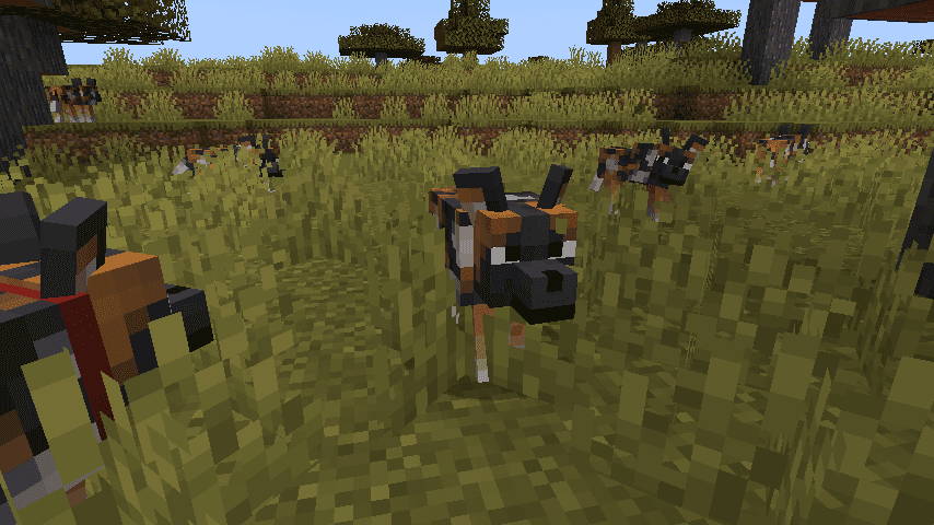 Fresh Animations Patch - Boy Why You So Ears screenshot