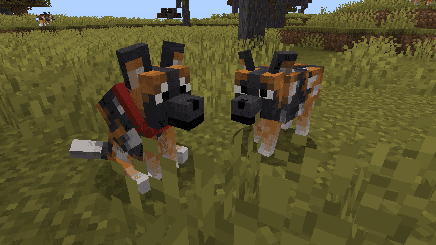 Fresh Animations Patch - Boy Why You So Ears screenshot