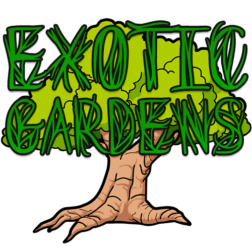 Exotic Garden screenshot