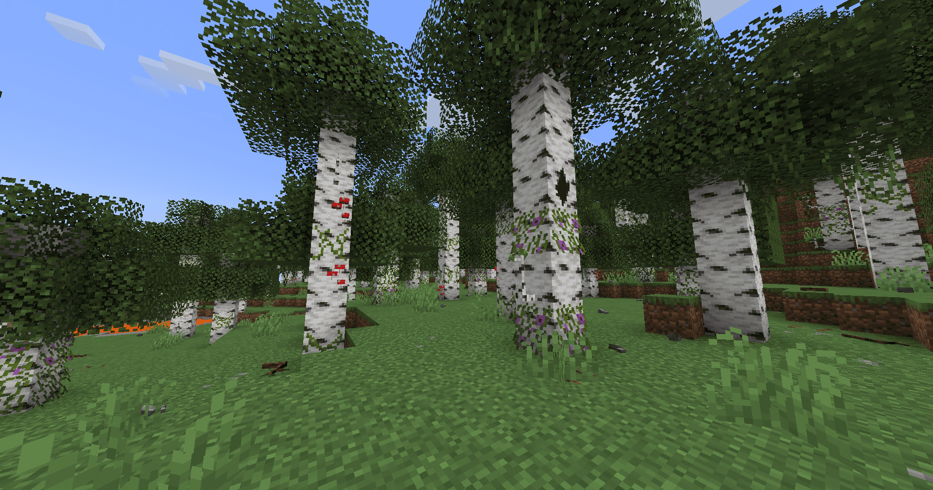 Musgo screenshot