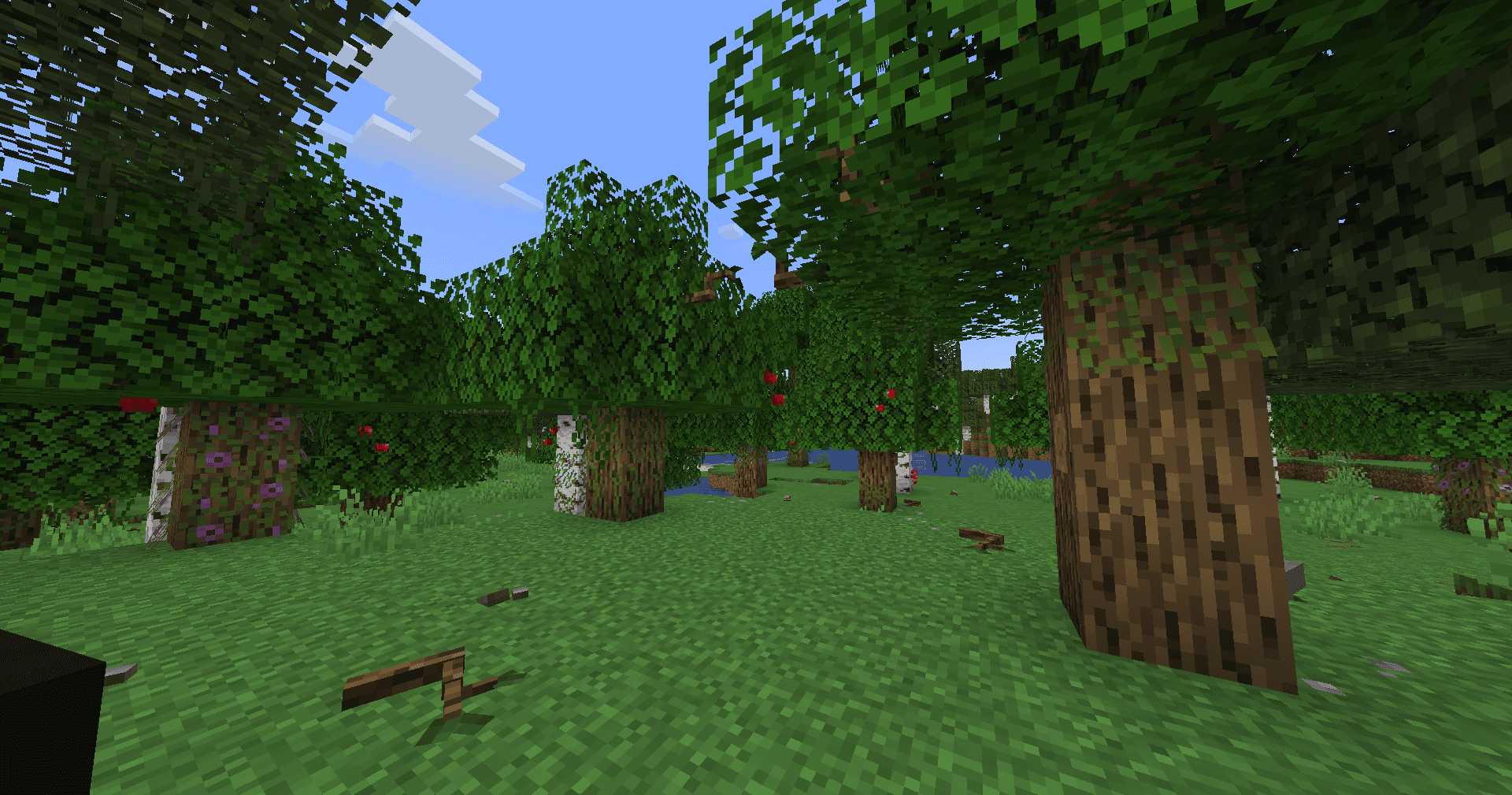 Musgo screenshot