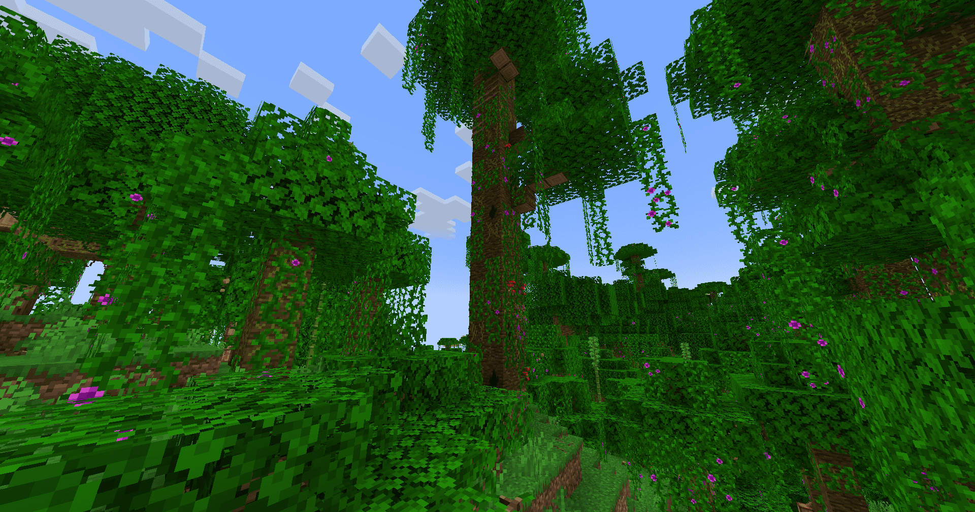 Musgo screenshot