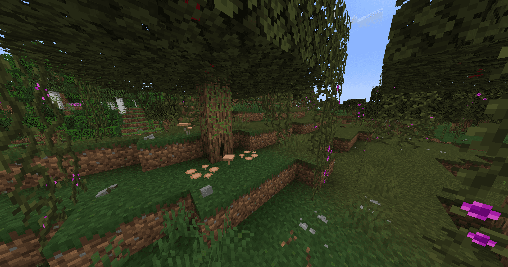 Musgo screenshot
