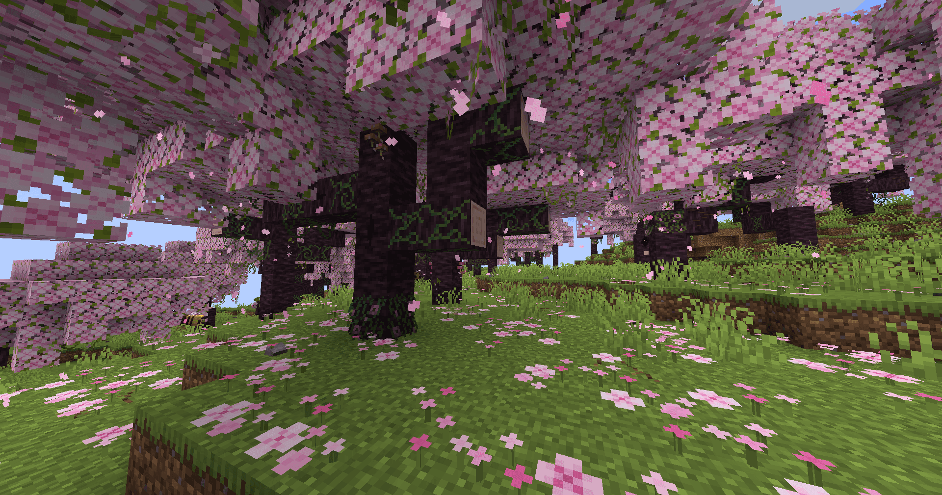 Musgo screenshot