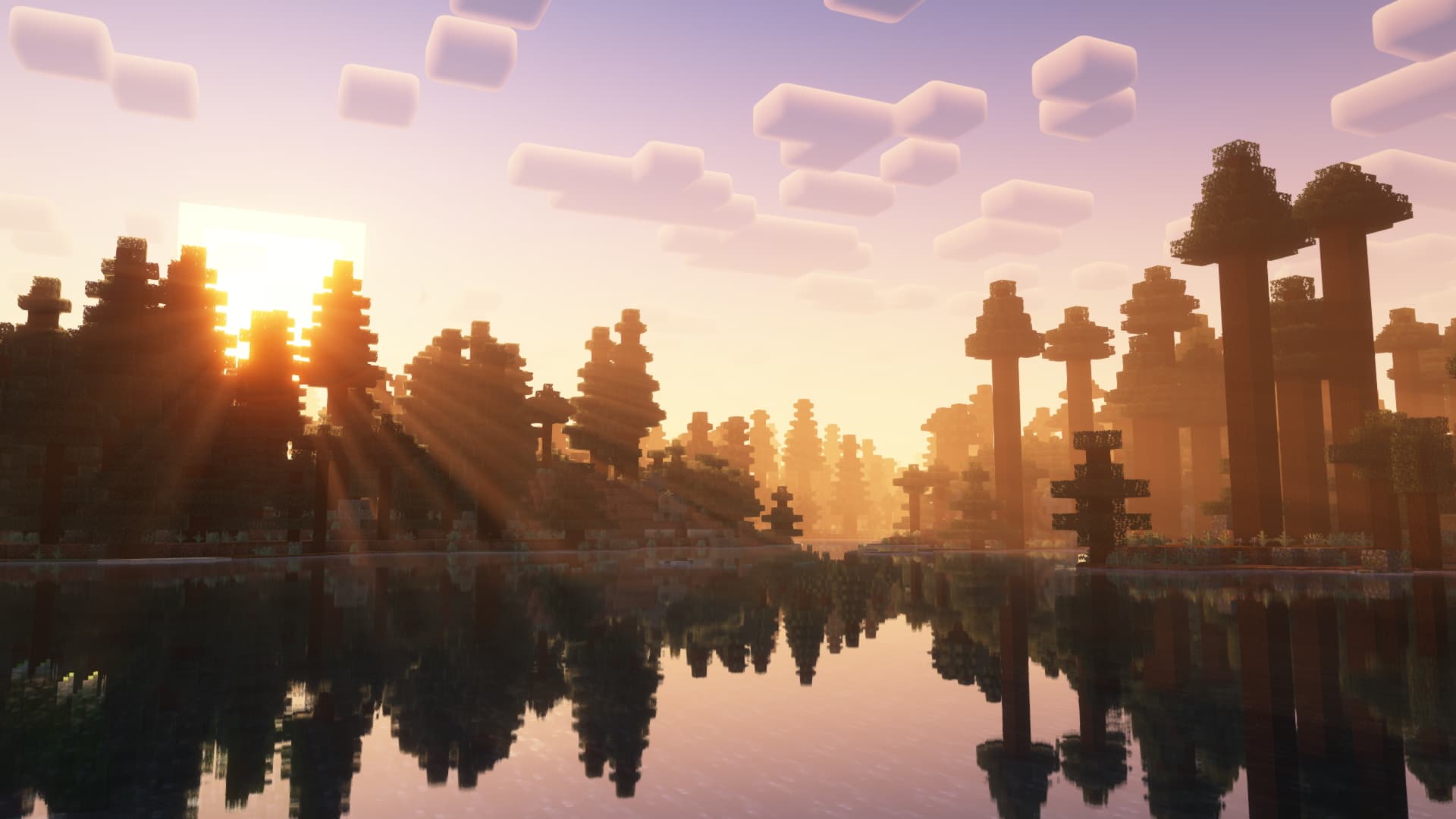 Basically OptiFine (BOF) screenshot