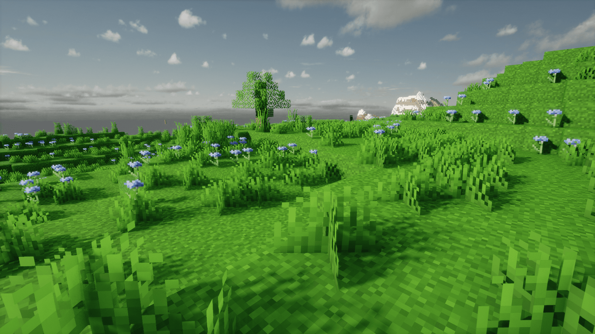 HexaBiome NatureGreen screenshot