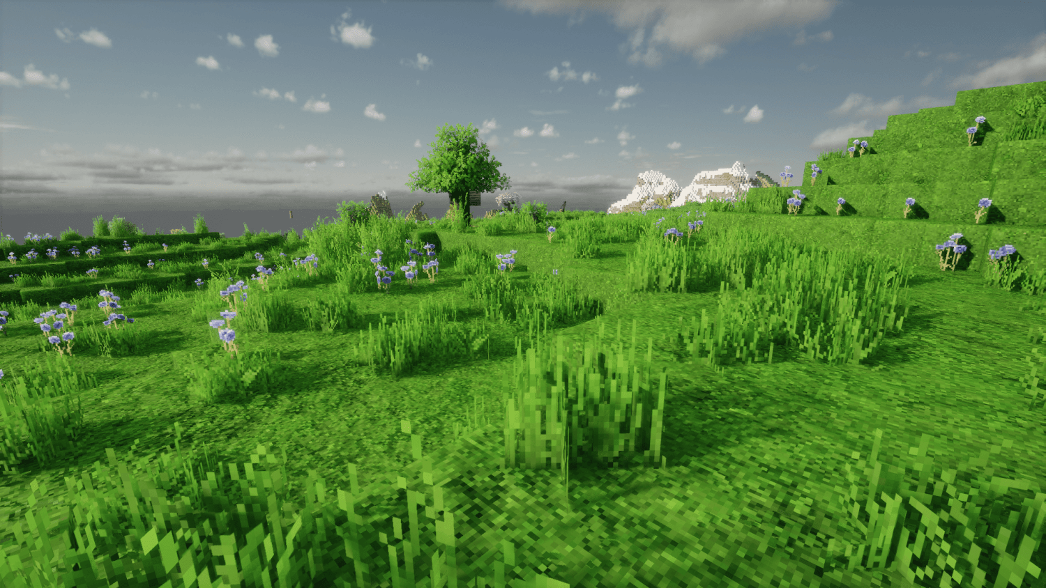 HexaBiome NatureGreen screenshot