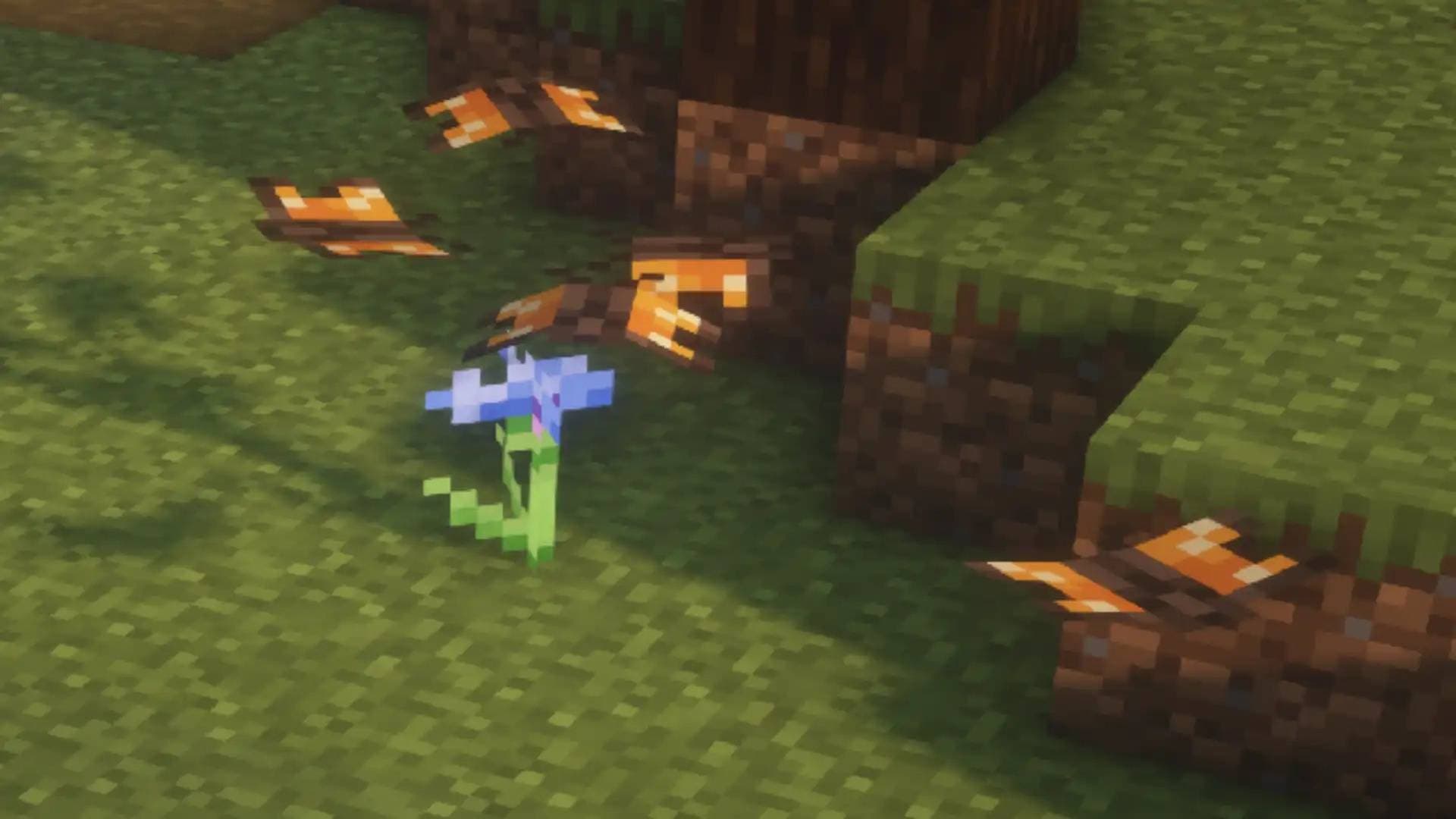Butterflies screenshot