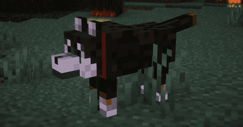 Shiba-dog screenshot