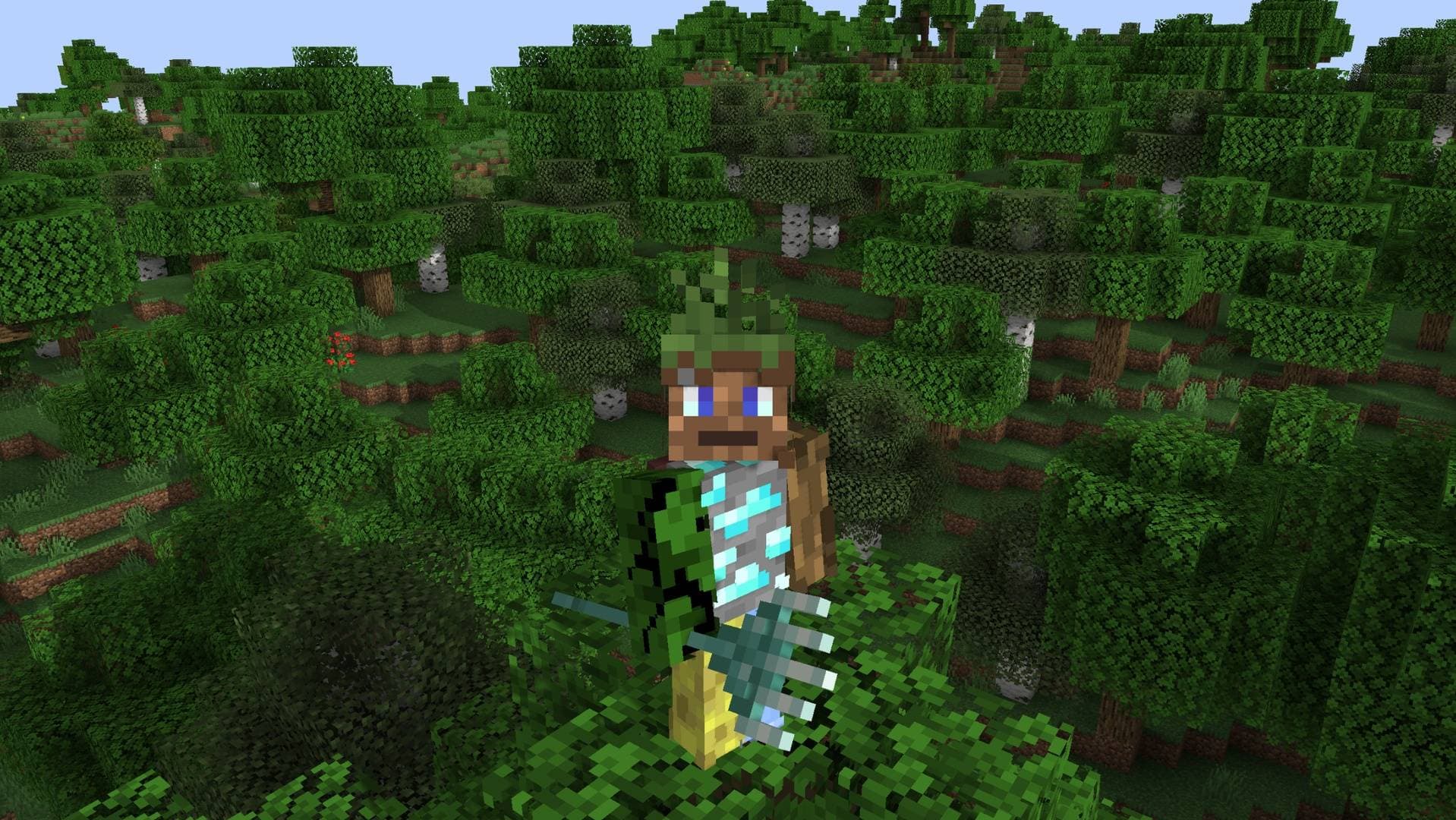 Quindent screenshot