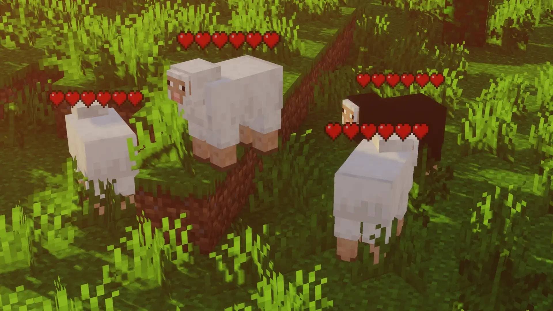Entity Healthbars: Hearts screenshot
