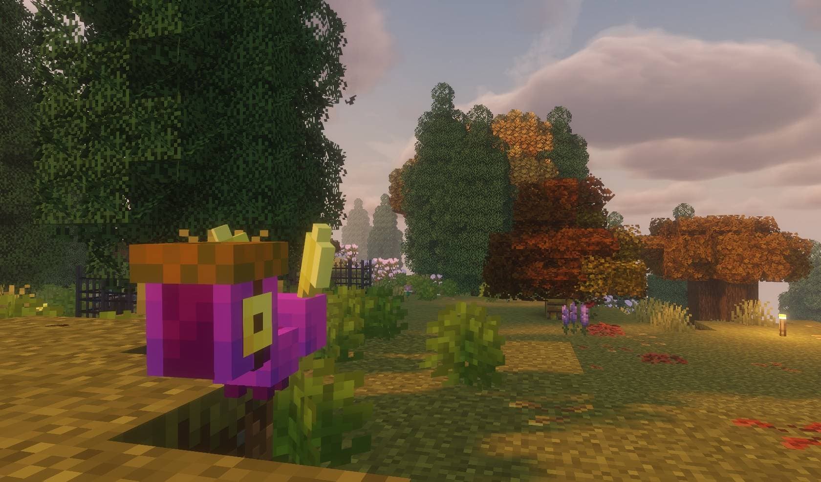 WitchHazel Halloween Magic screenshot