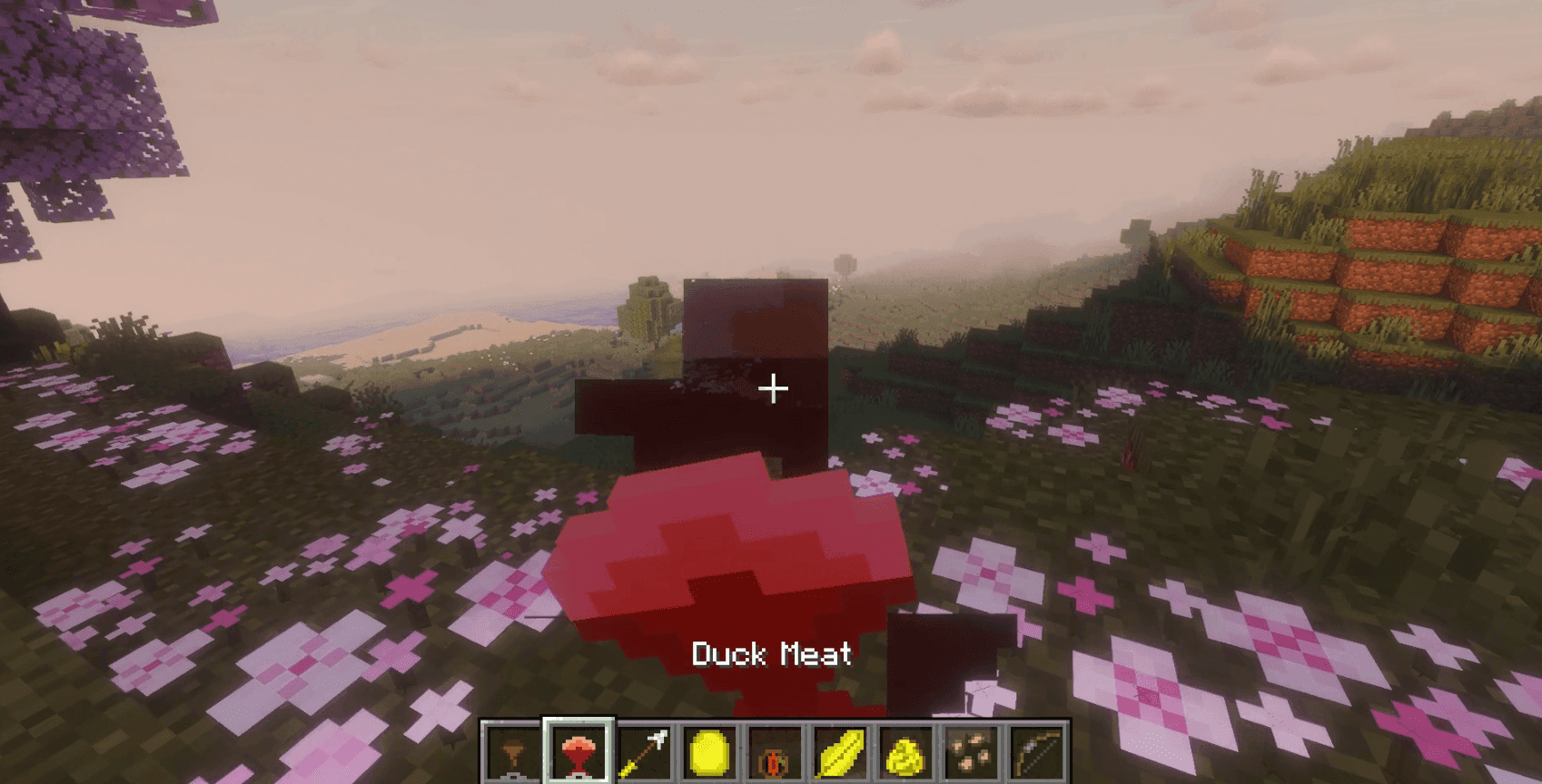 Ducky Quack Pack screenshot