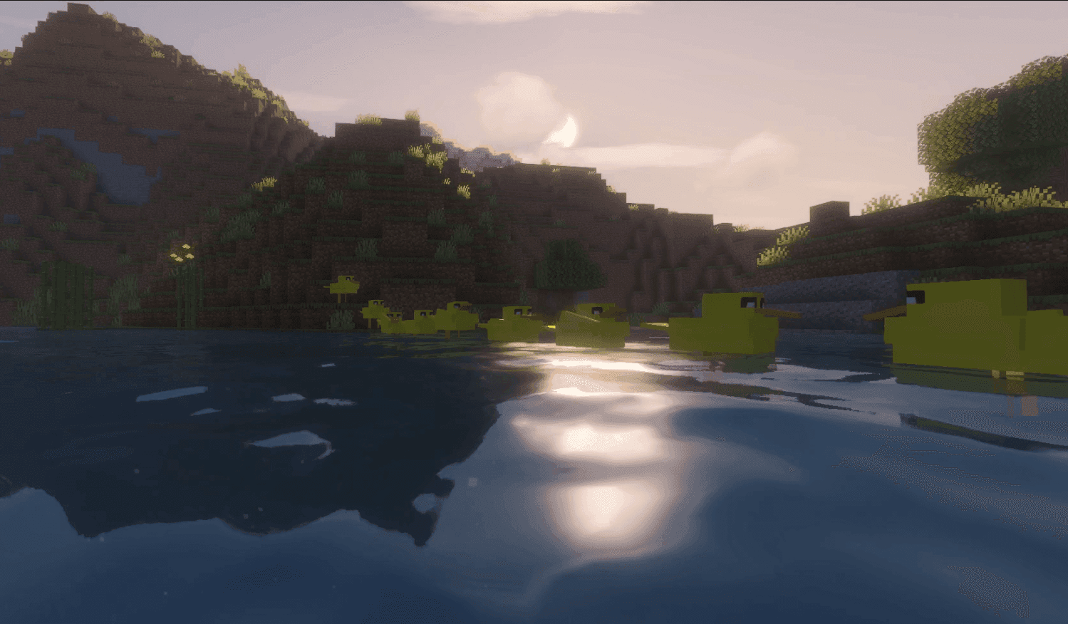 Ducky Quack Pack screenshot