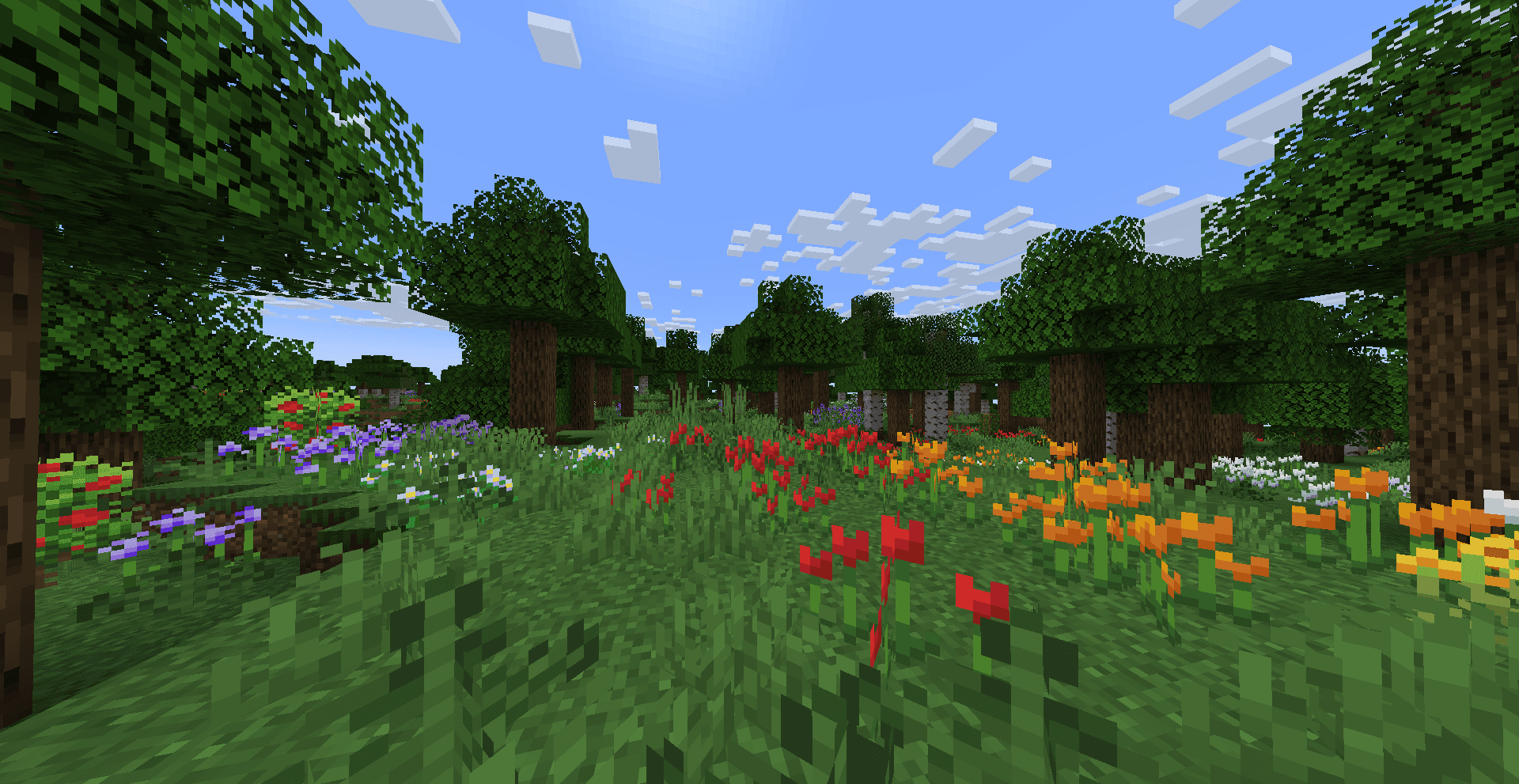 Wild Flowers screenshot