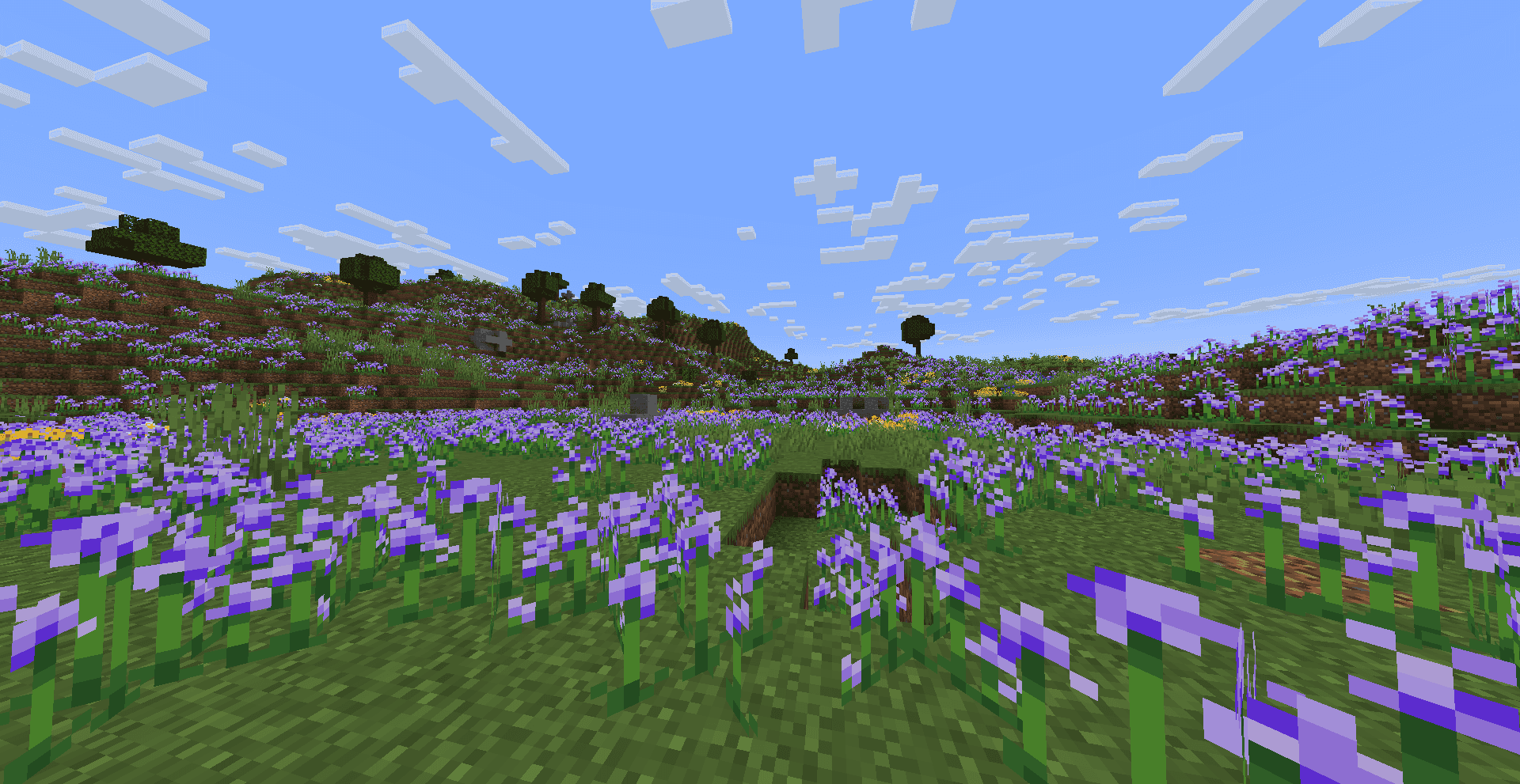Wild Flowers screenshot