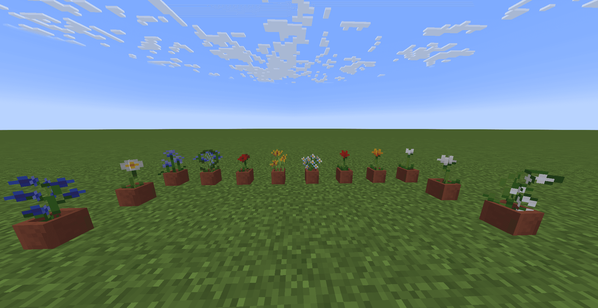 Wild Flowers screenshot
