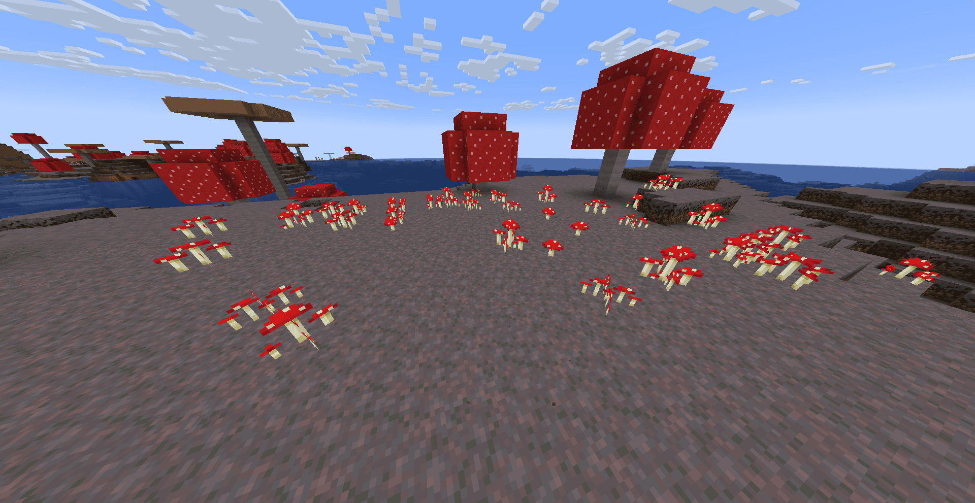 Wild Flowers screenshot